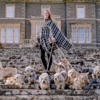 DANDIE DINMONT TARTAN COLLECTION